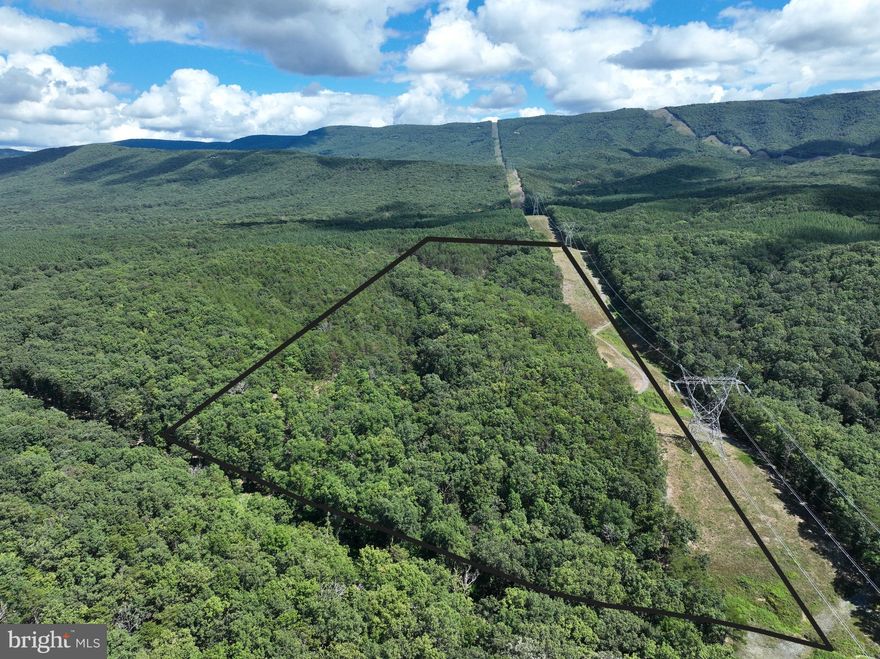 This is NOT raw land—this 20.32-acre property is already loaded with improvements and primed for your vision. Densely wooded and private, it features a gravel-surfaced driveway that leads directly to a level cleared build site with a drilled well in place. The heavy lifting has already been done, saving you time, money, and hassle. You’re not just buying potential—you’re buying progress. Situated as an exterior lot in the legendary Ashton Woods Subdivision, this property delivers the perfect blend of privacy and convenience. You’ll enjoy the full mountain lifestyle while benefiting from direct county road access—no endless rough backroads to battle just to reach your land. Accessibility and seclusion rarely come together this seamlessly. Adventure is at your doorstep in every direction. Hunt the 10,000-acre Nathaniel Mountain Wildlife Management Area, chase trophy whitetail, turkey, and bear, or launch your kayak or tie a bunch of tubes together with family and friends into the scenic South Branch of the Potomac River for world-class fishing and paddling. When winter arrives, head to the magnificent slopes of Canaan Valley for some of the best skiing in the Mid-Atlantic. And when it’s time to recharge, you’re just two hours west of Washington, D.C., making this an easy escape from city life. Adding even more value, the property’s southern boundary is defined by a massive power line—a dream setup for outdoorsmen. This corridor is ideal for hunting, creating long-range shooting lanes, or even developing food plots. It’s a rare feature that makes the land as functional as it is beautiful. Why settle for unimproved raw acreage when you can have a property with serious upgrades and unlimited potential? The infrastructure is in, the location is unbeatable, and the recreational opportunities are endless. Stop waiting and start doing—this is your chance to secure land that’s already prepped, already valuable, and already delivering. Make the move now, because properties like this disappear fast and once it’s gone, it’s gone.