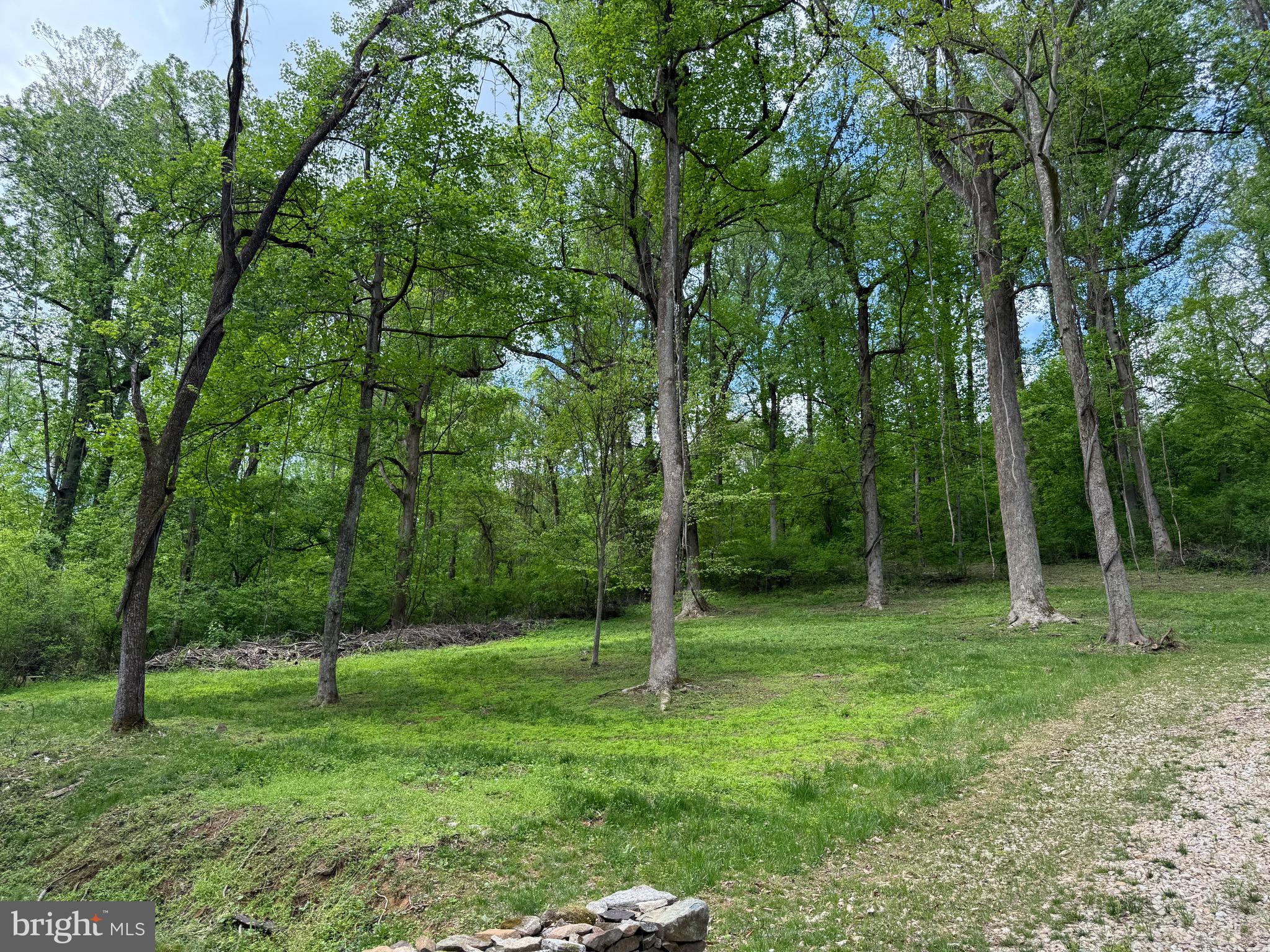RILEY HOLLOW ROAD