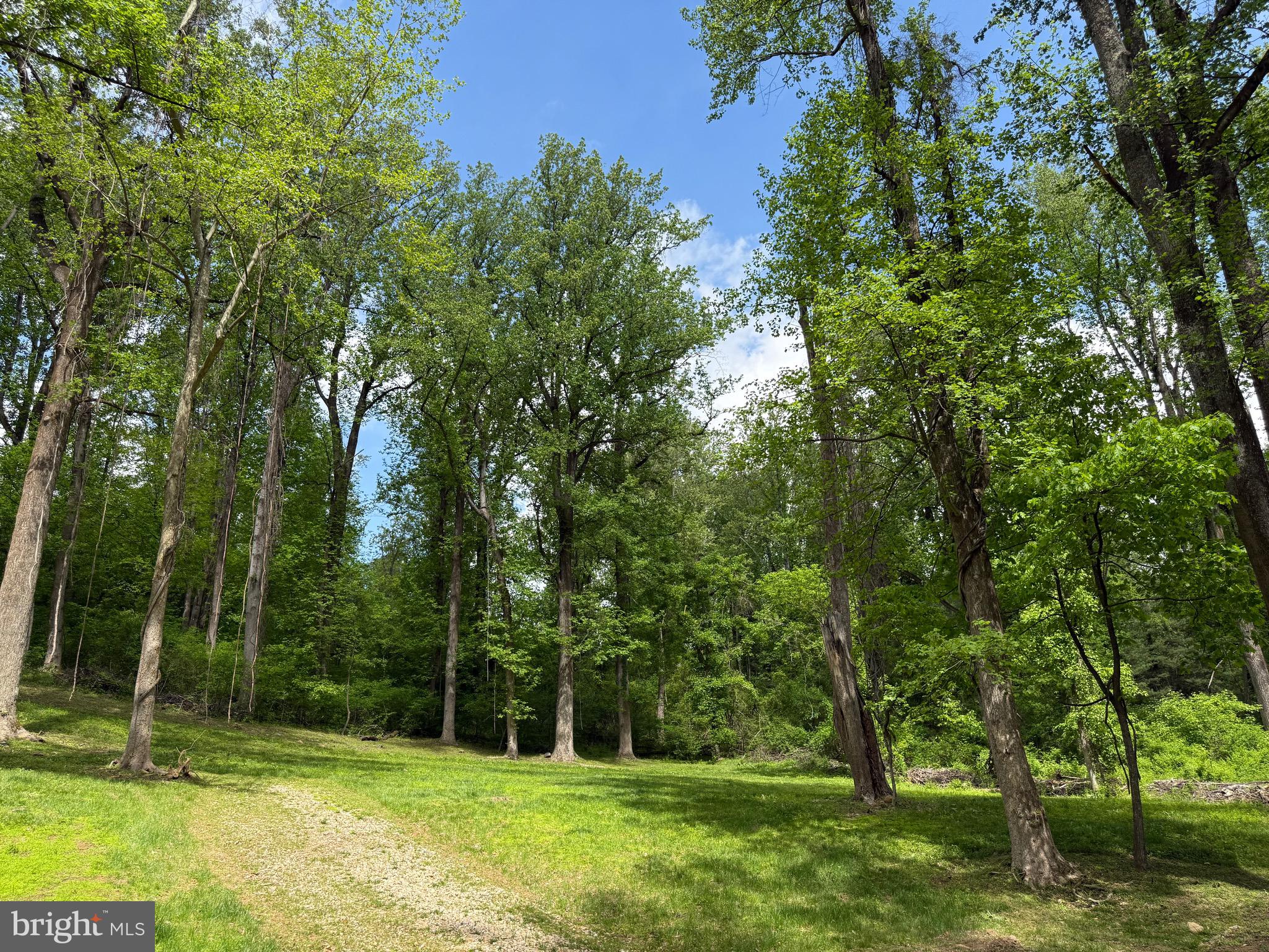 RILEY HOLLOW ROAD