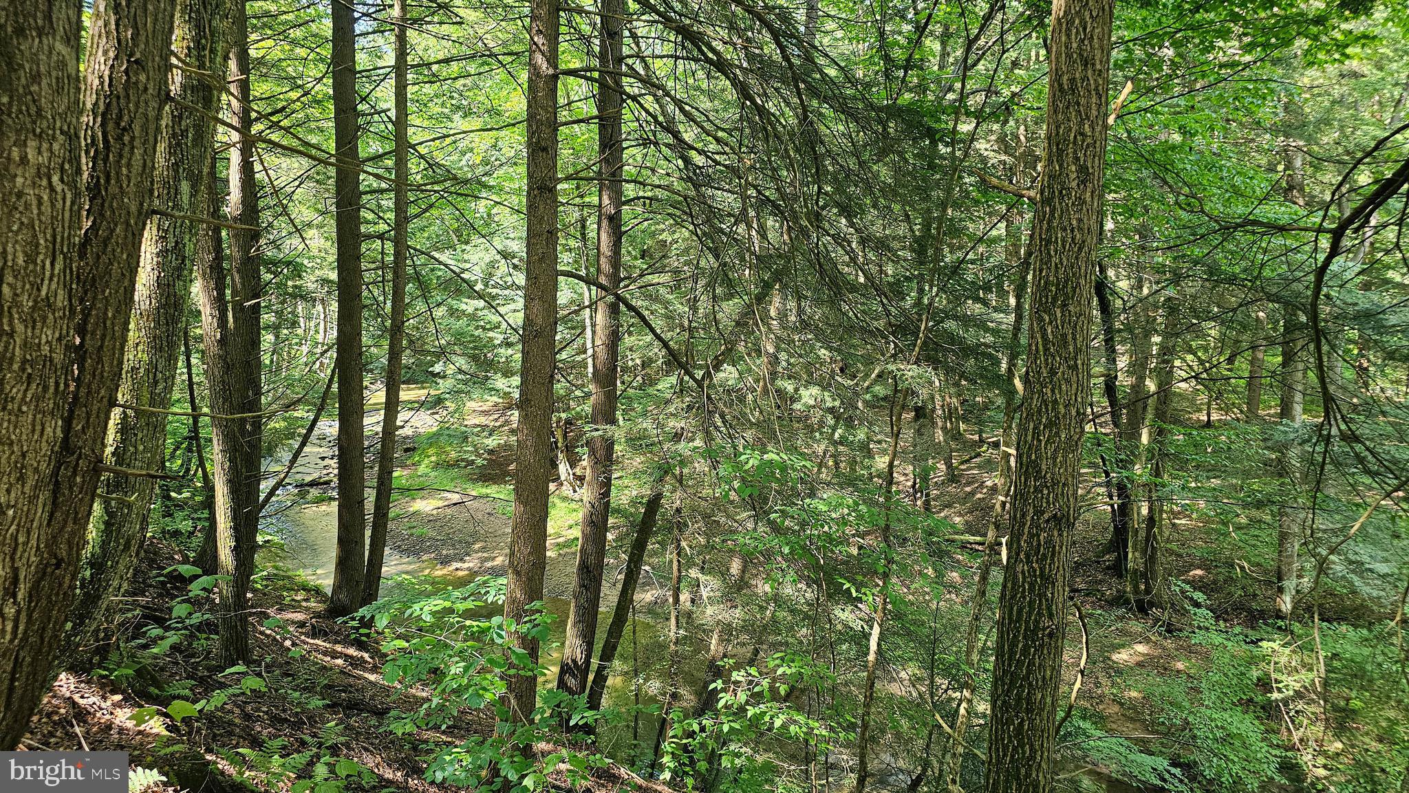 142.09 Acres MAHAFFEY GRAMPIAN HIGHWAY