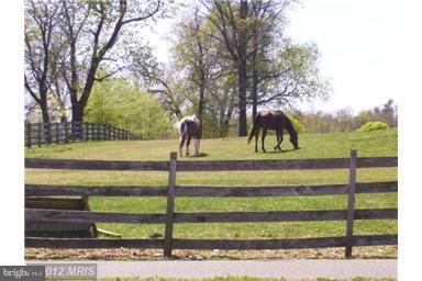 FERNDALE GARDENS CONDO - Residential