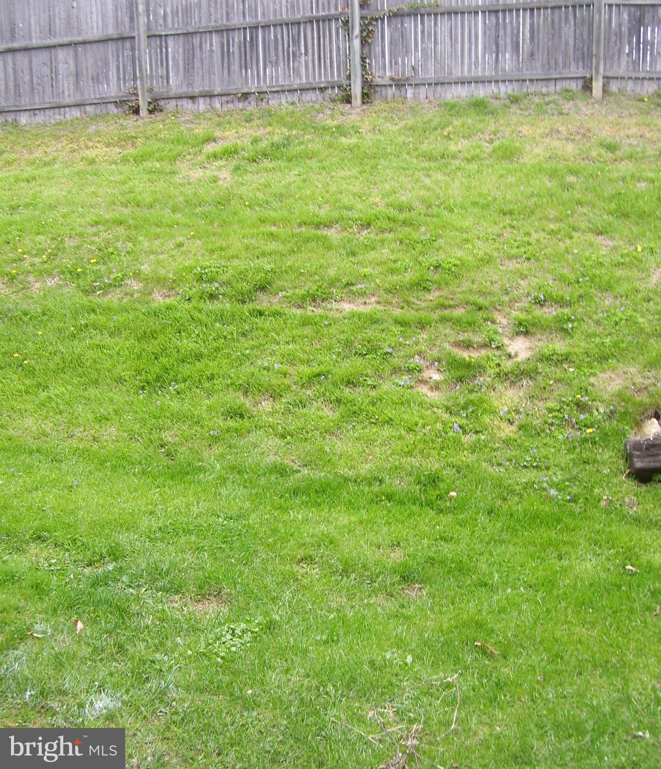 FERNDALE GARDENS CONDO - Residential