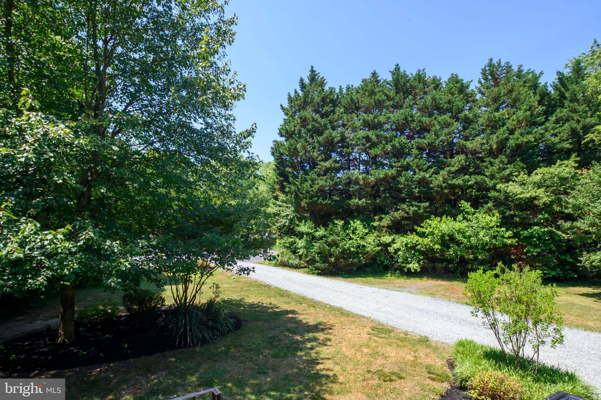 206 DUDLEY COURT