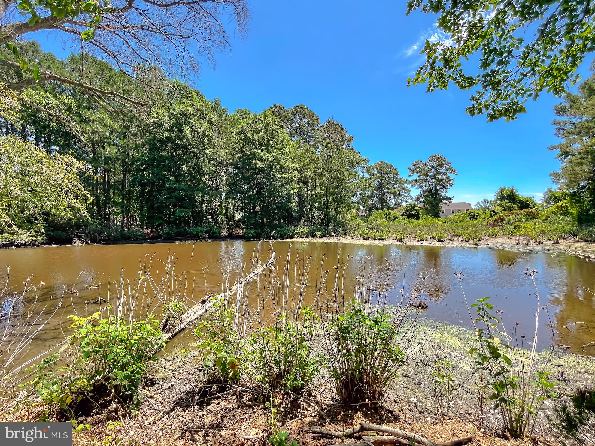 POTOMAC BEACH - Residential Lease