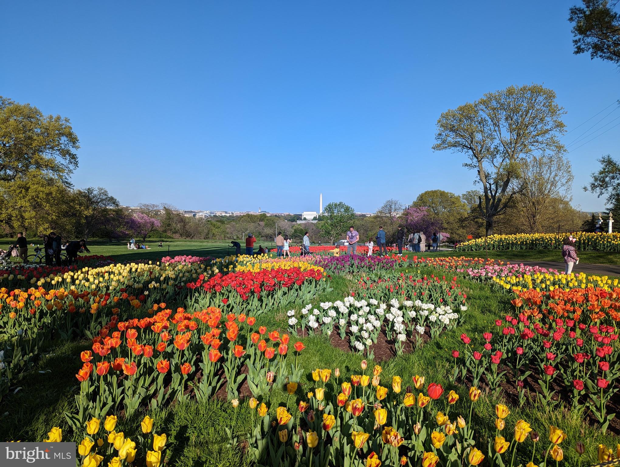 RIVER PLACE - Residential Lease