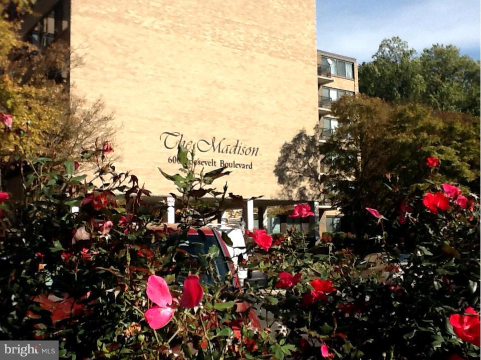 MADISON CONDOMINIUM - Residential Lease