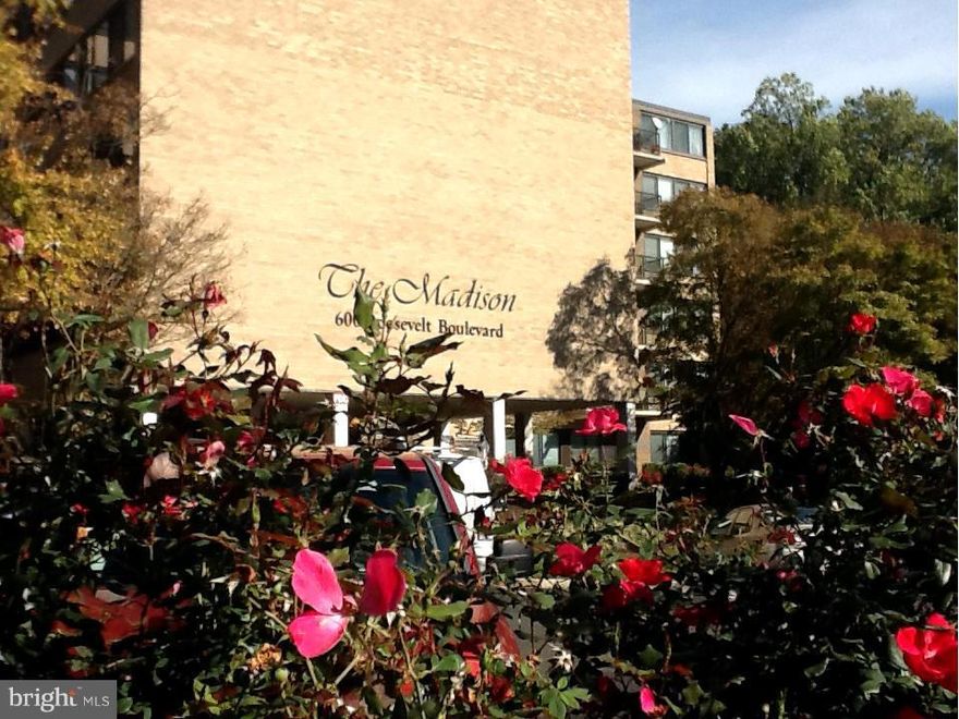 Great location! 1/4 mile to East Falls Church Metro!! Beautifully updated, huge 1BR w/tons of natural light. Freshly painted. Just renovated bathroom. All utilities included in rent. Close to 66, shopping, restaurants, parks, bike & walking trail.