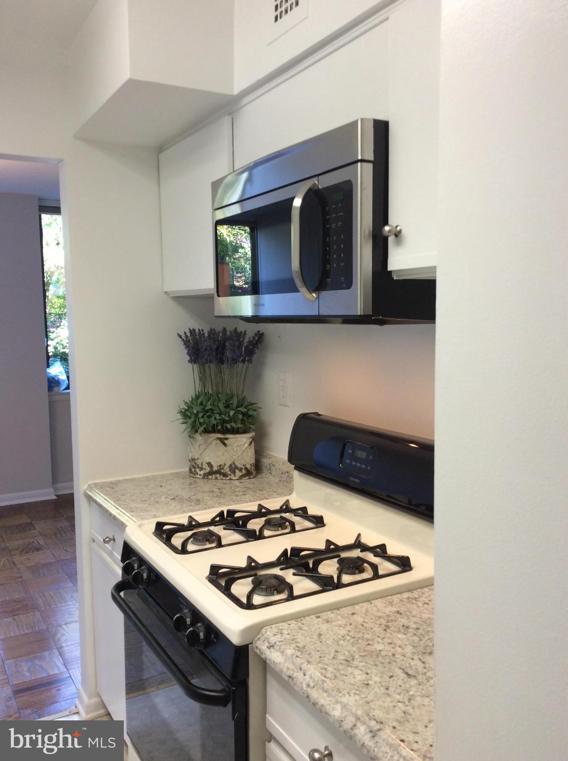 MADISON CONDOMINIUM - Residential Lease