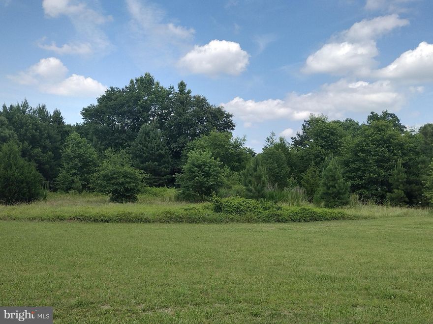 PERC HAS BEEN APPROVED! Get ready to build your dream home!  Beautifully situated in a growing town.  Very desirable location.  Close to Rt 50, Mardela Springs Area just minutes from Downtown Salisbury, shopping and dining.    Buyer and Buyer's agent should do their due diligence in verifying taxes, schools and all information.