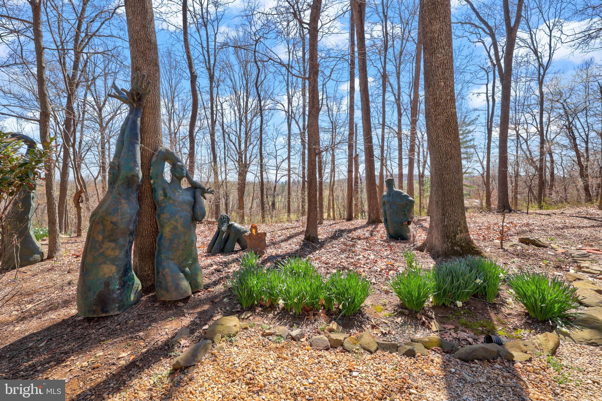 BLUE RIDGE CHASE - Residential