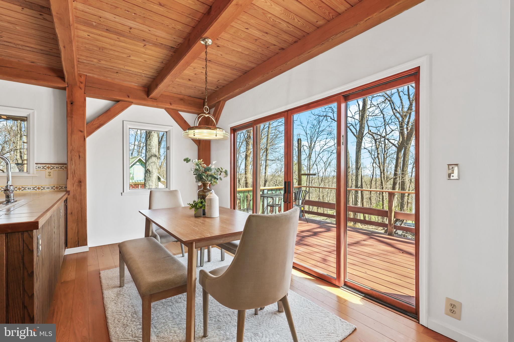 BLUE RIDGE CHASE - Residential