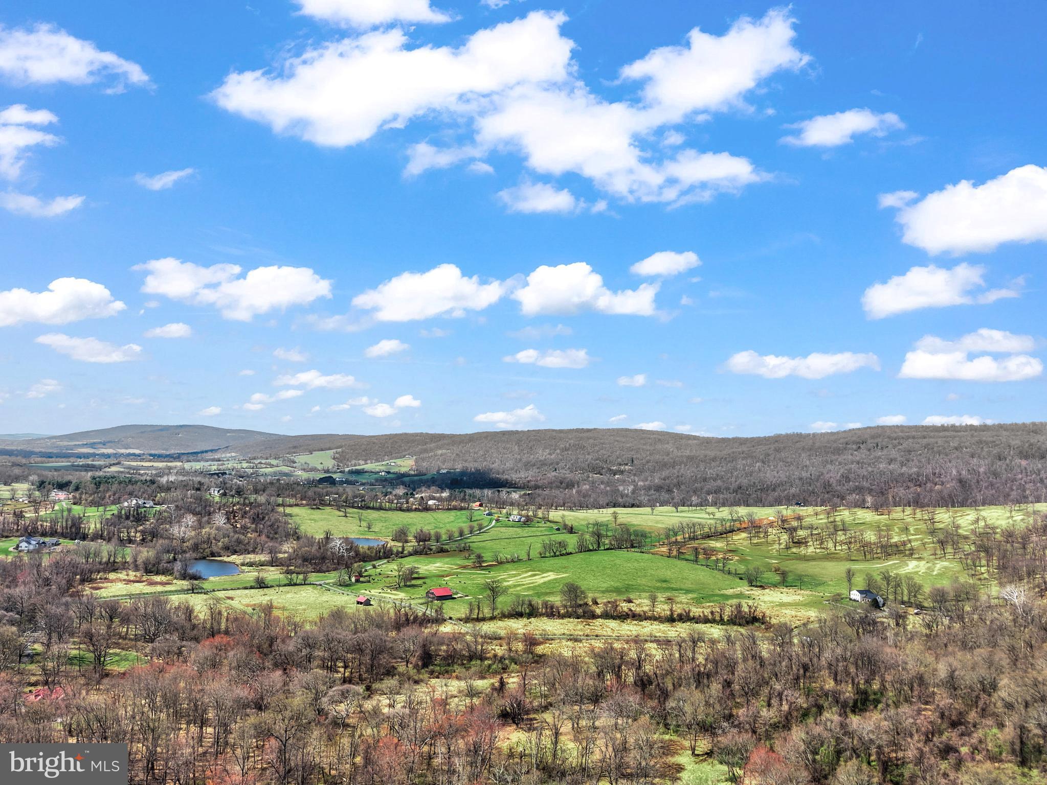 BLUE RIDGE CHASE - Residential