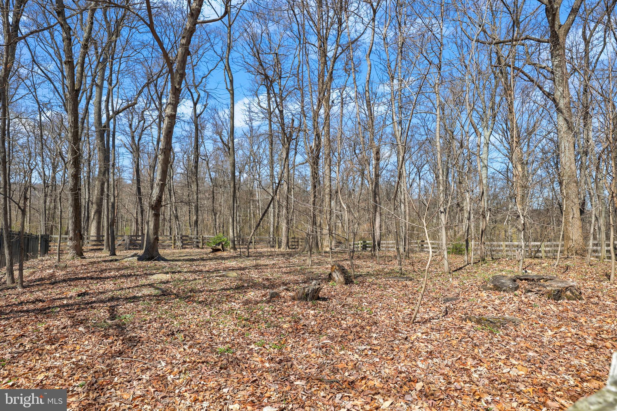 BLUE RIDGE CHASE - Residential