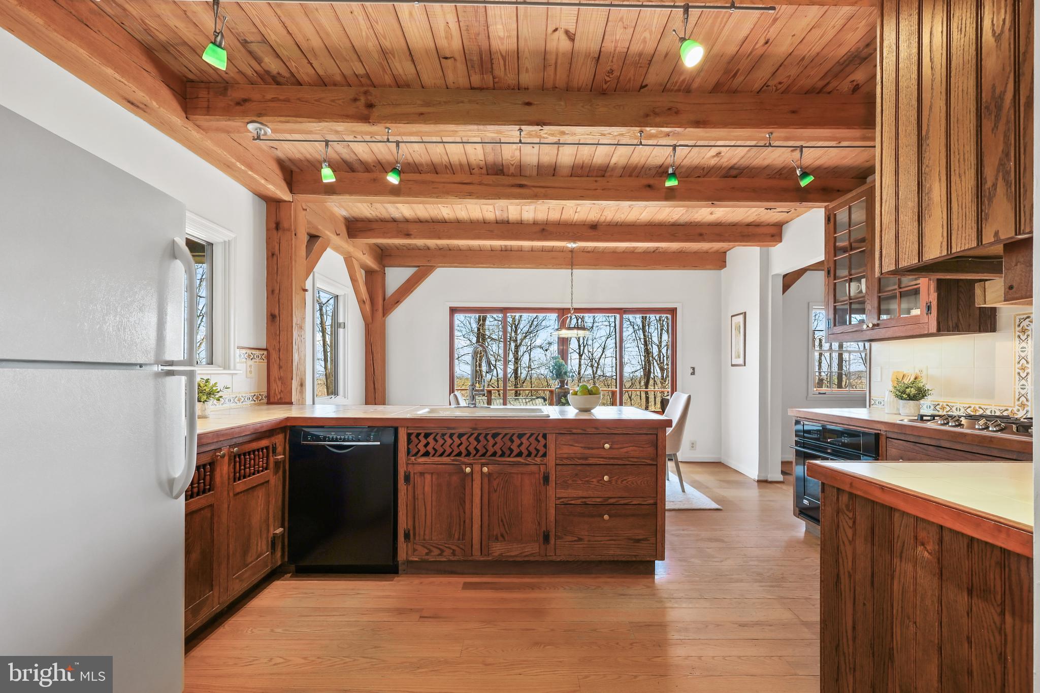 BLUE RIDGE CHASE - Residential