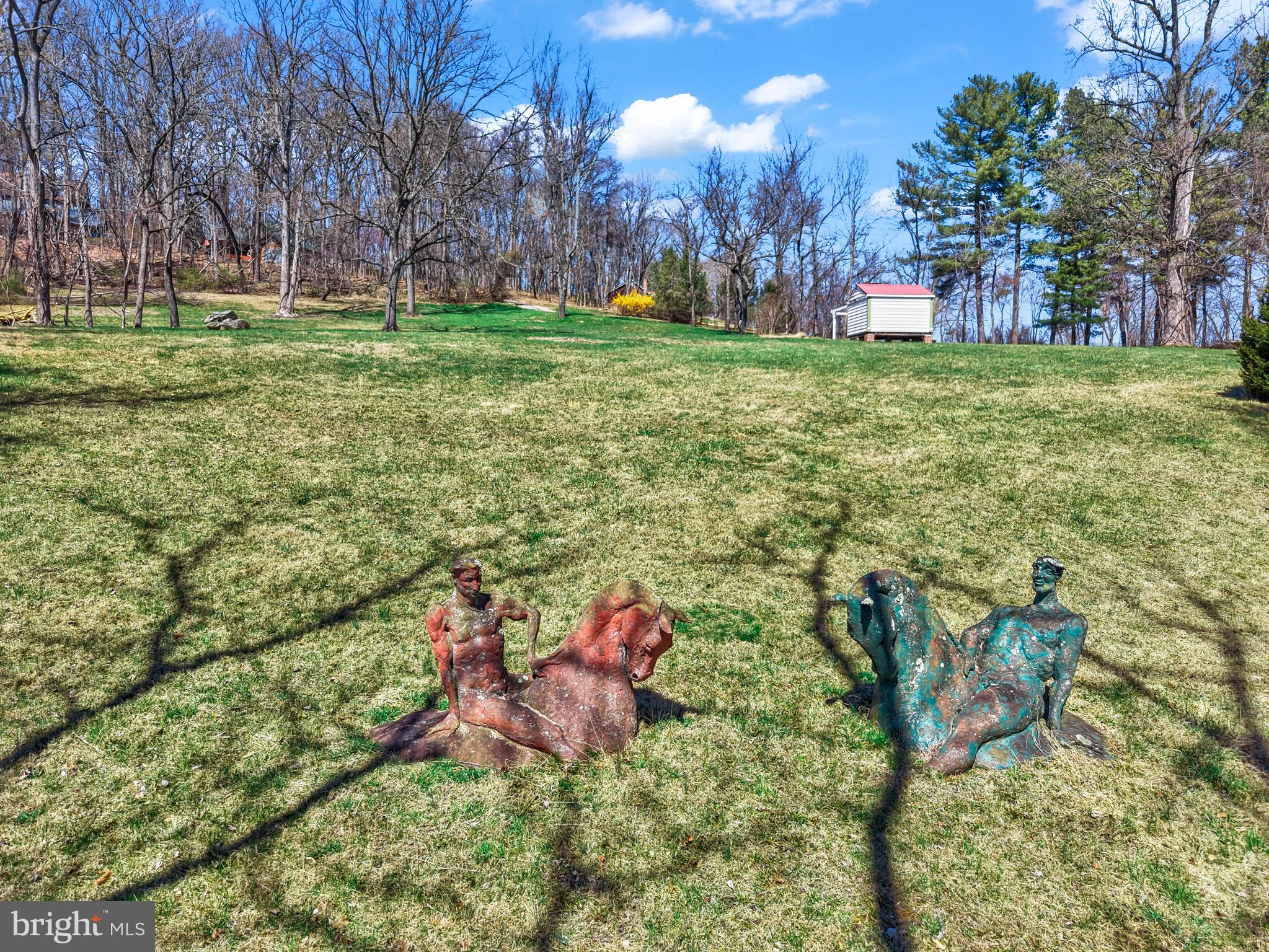 BLUE RIDGE CHASE - Residential