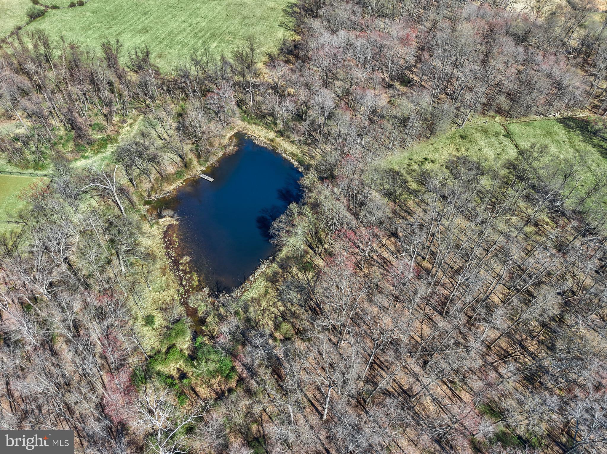 BLUE RIDGE CHASE - Residential