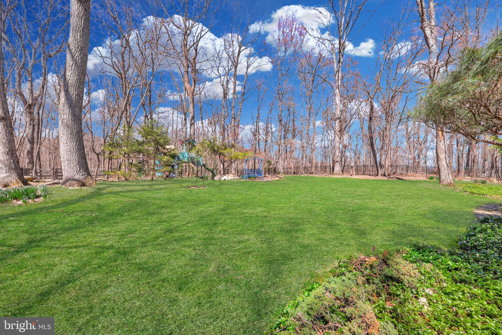 BLUE RIDGE CHASE - Residential