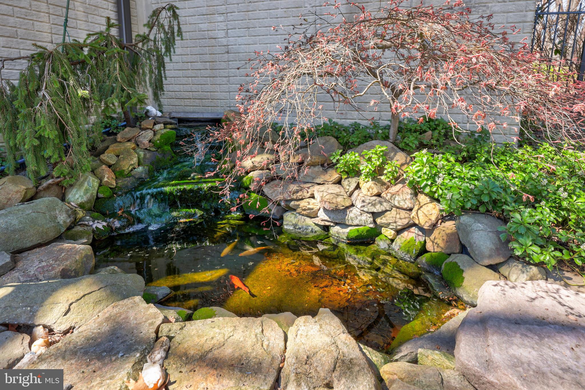 BLUE RIDGE CHASE - Residential