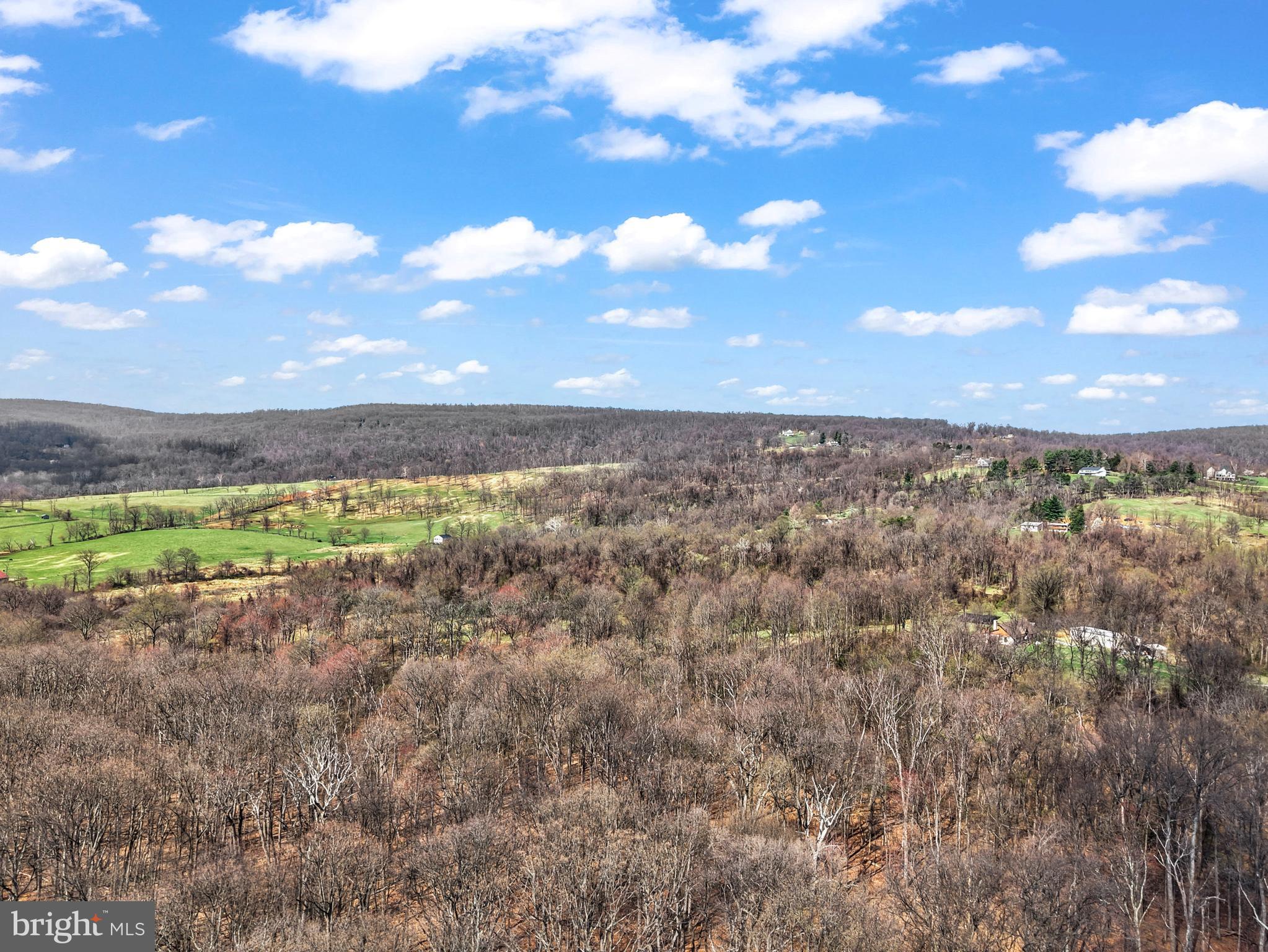 BLUE RIDGE CHASE - Residential