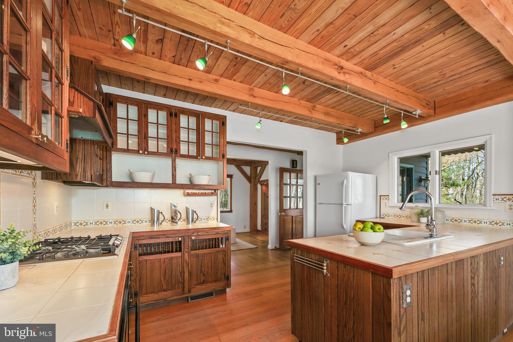 BLUE RIDGE CHASE - Residential