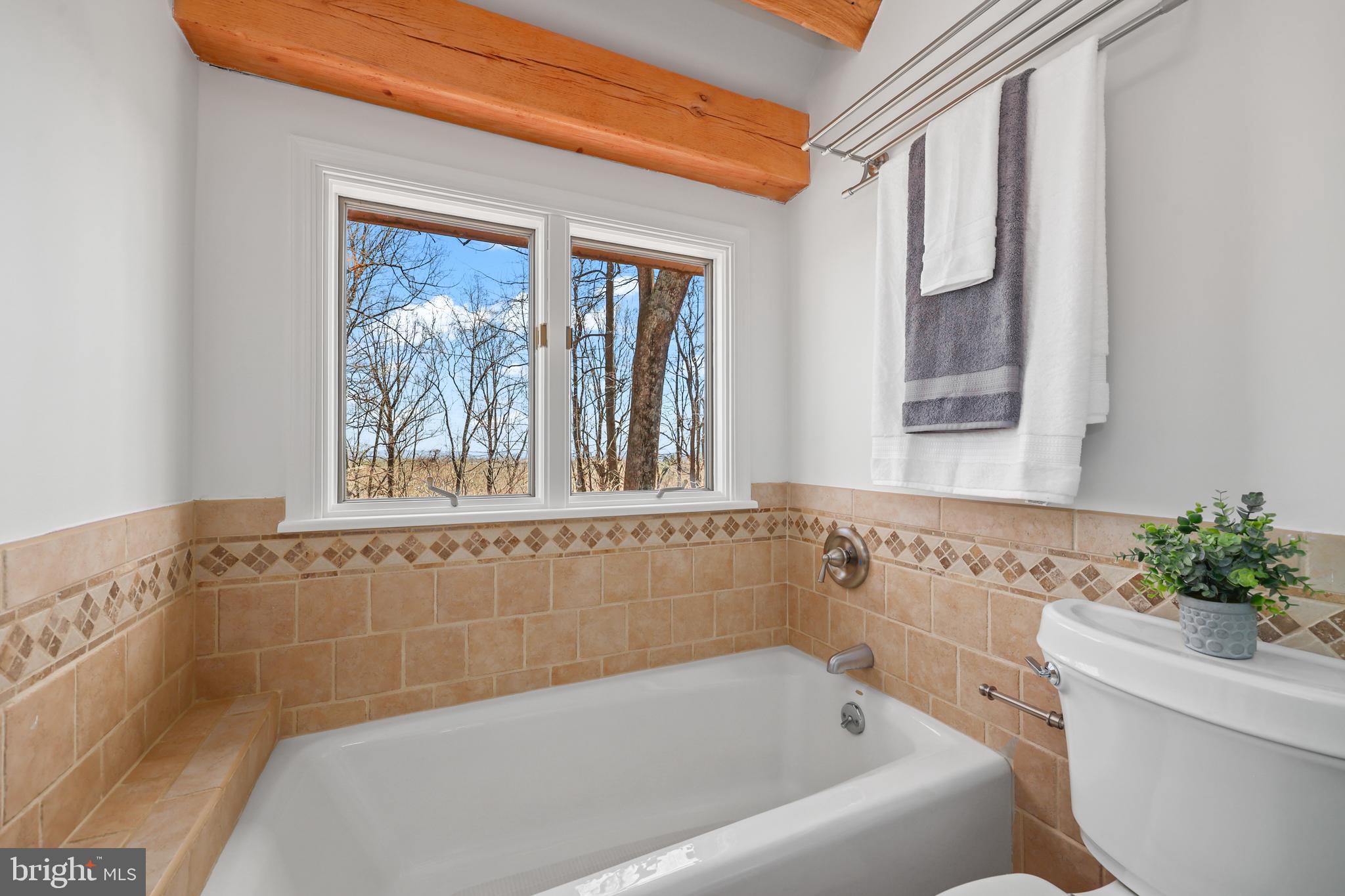 BLUE RIDGE CHASE - Residential