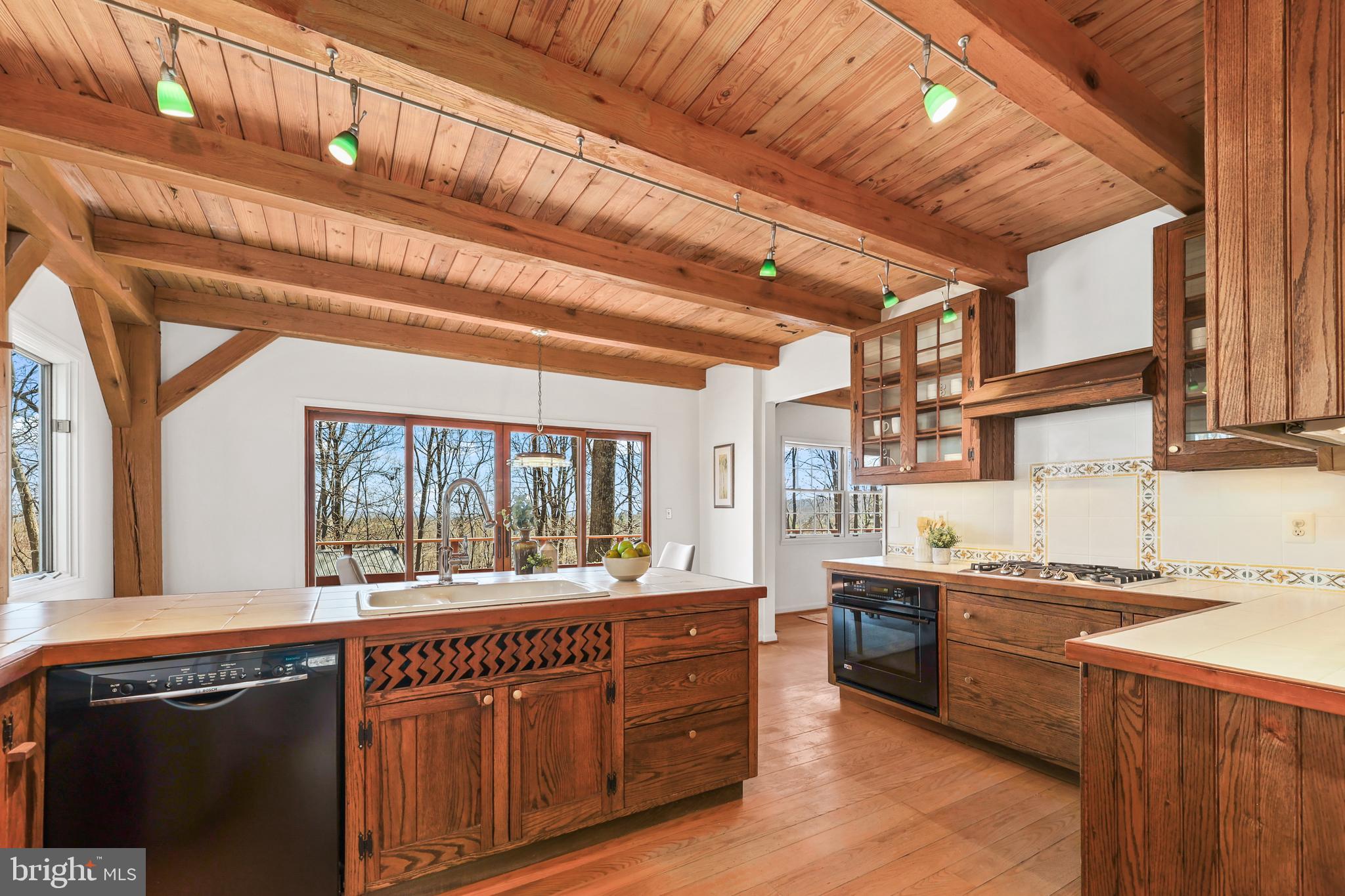 BLUE RIDGE CHASE - Residential