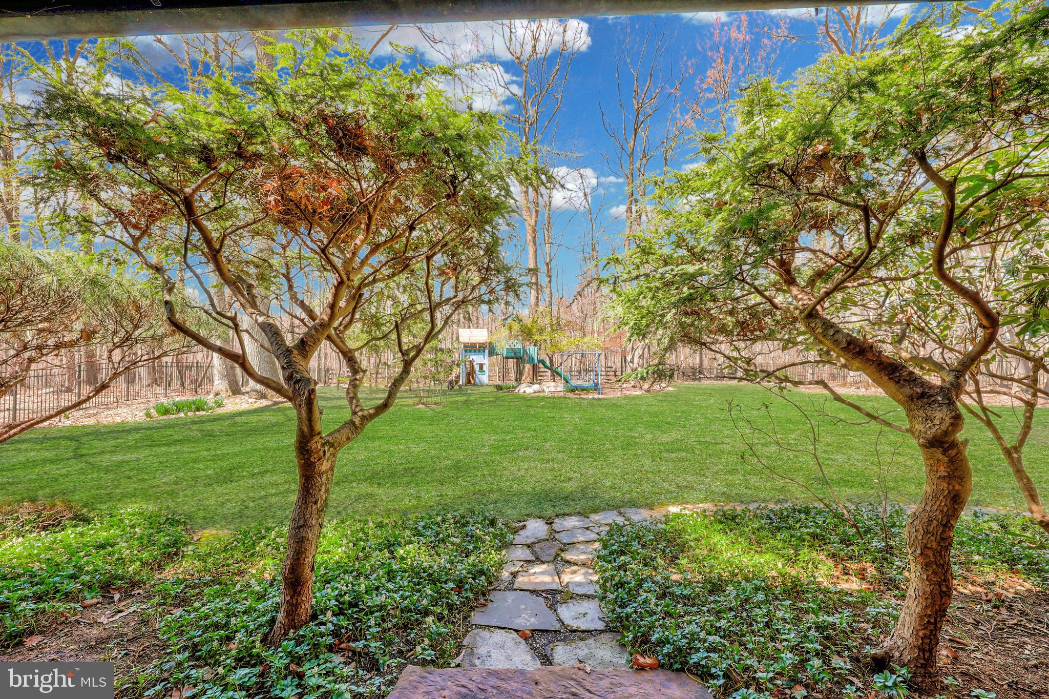 BLUE RIDGE CHASE - Residential