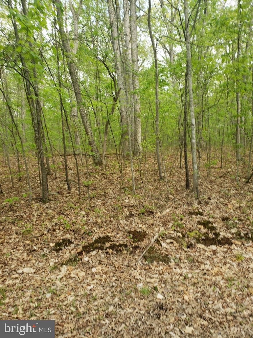 Priced BELOW tax assessment, and priced to SELL! Are you looking for a secluded and private place to build your new home? With just under 4 acres, this wooded lot has all the peace and privacy you need to get away. Only 5 minutes from Mount Jackson, and roughly 15 from New Market, you can be in your own world but still stay connected. Perced for a 3 bedroom system. Call today to tour!