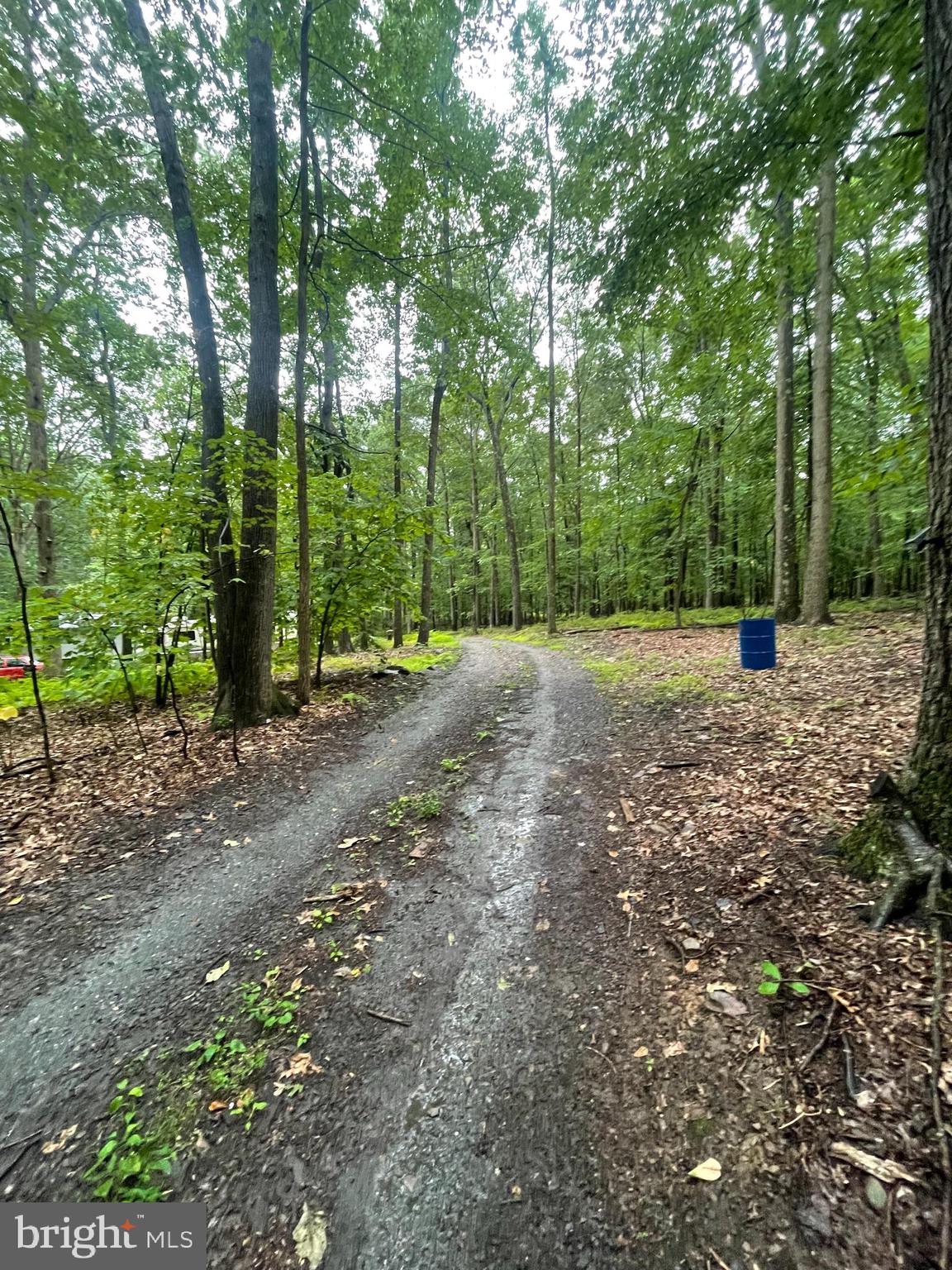 369 BUCK MOUNTAIN ROAD