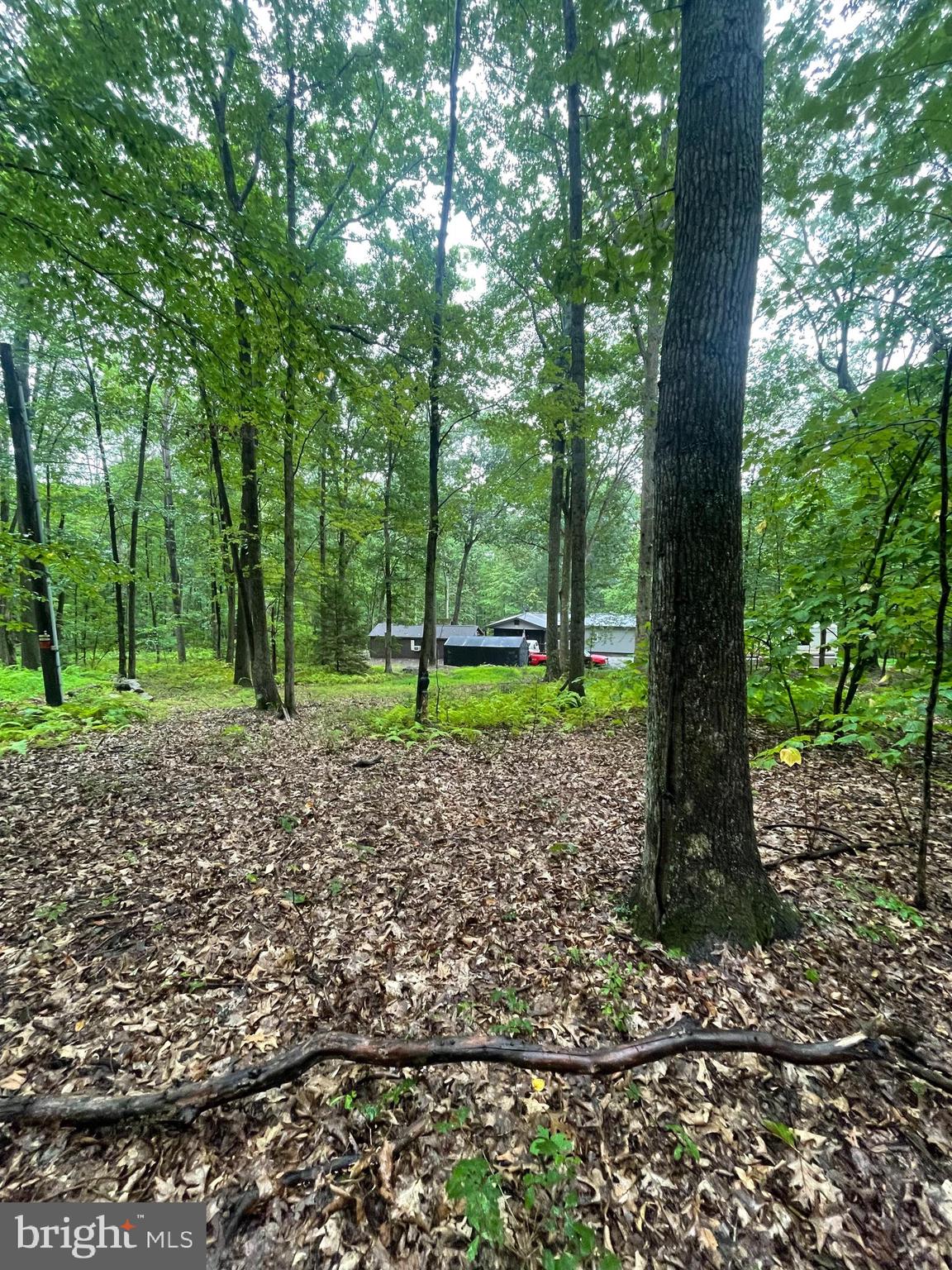 369 BUCK MOUNTAIN ROAD