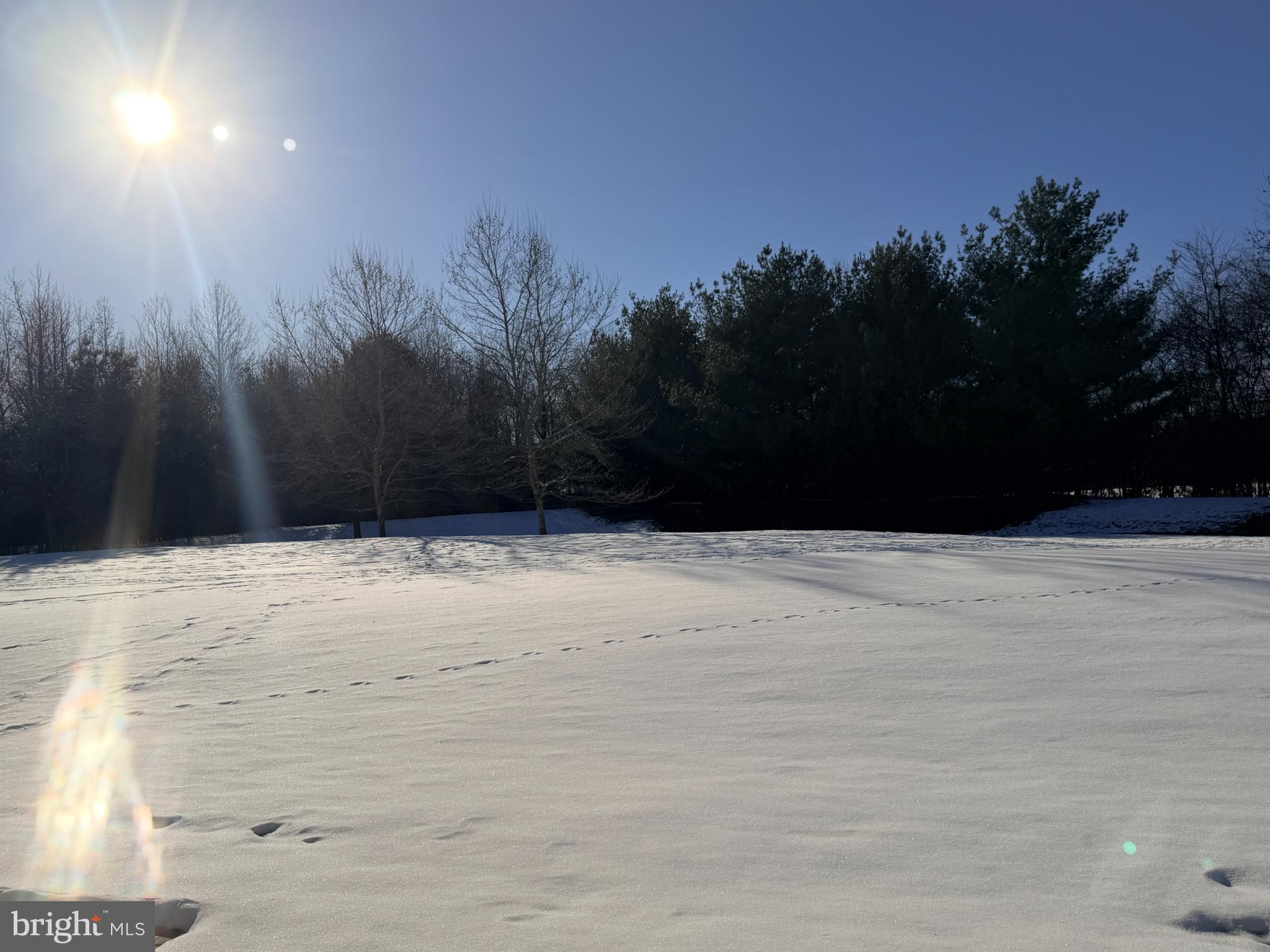 FOXFIELD - Residential