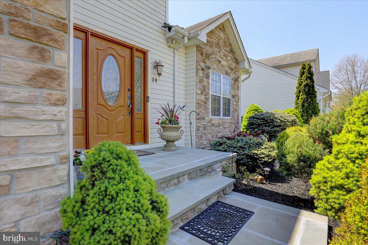 30 FRANCIS DRIVE