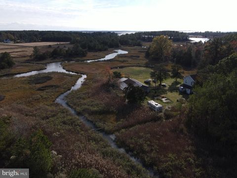 Homes For Sale - 10407 William Sharpless Road<br/> PRINCESS ANNE, MD 21853