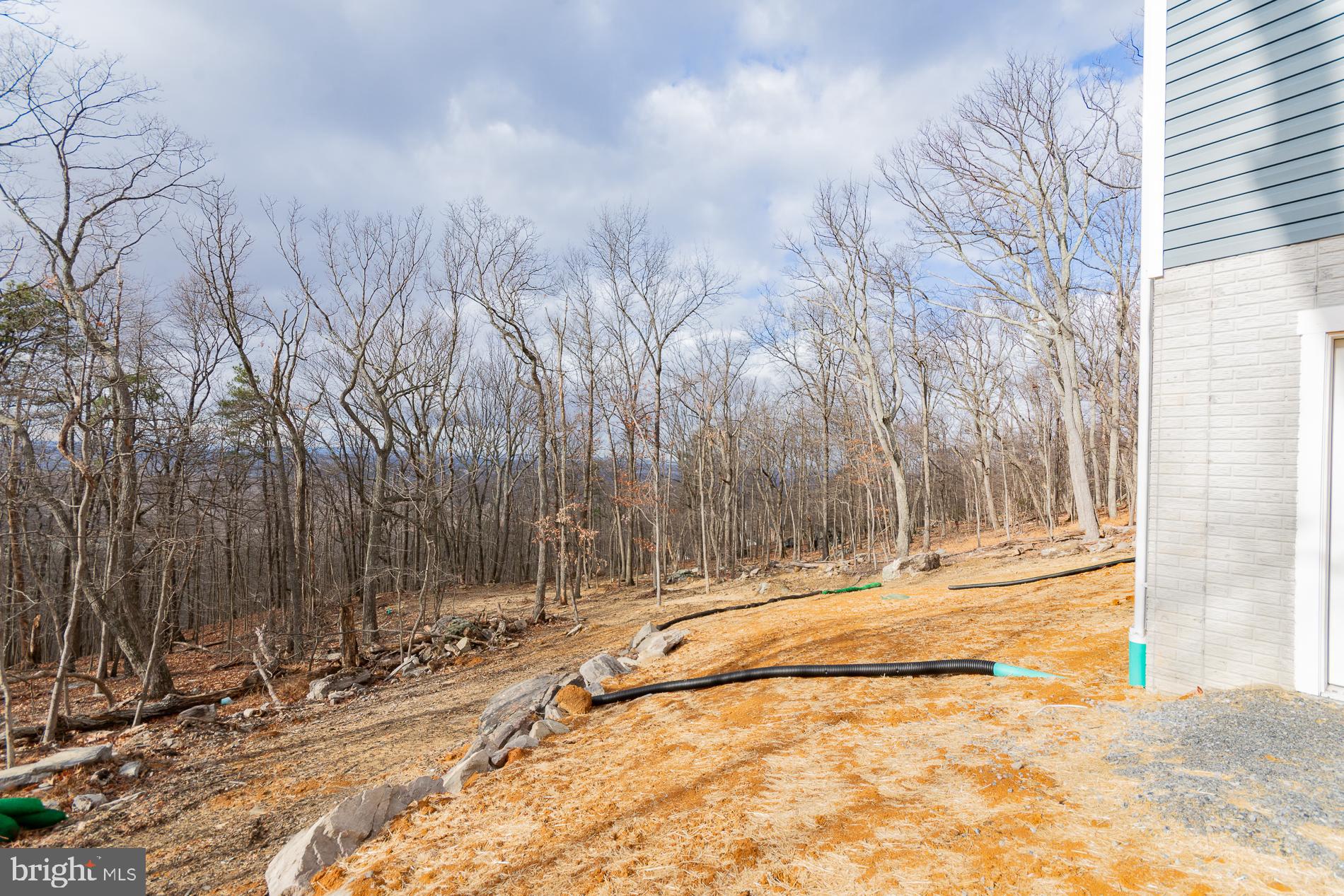 SHANNONDALE - Residential