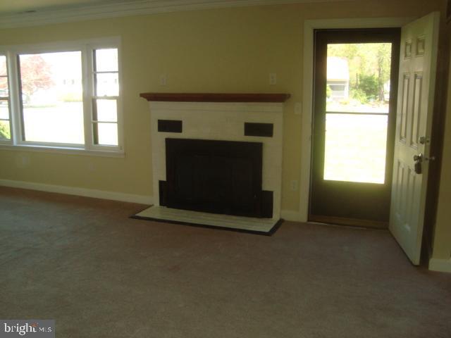 202 BUENA VISTA AVENUE