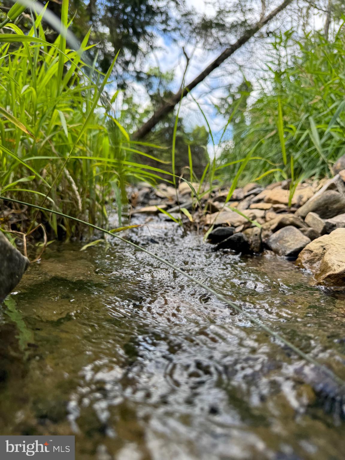 SCHELL ACRES - Residential