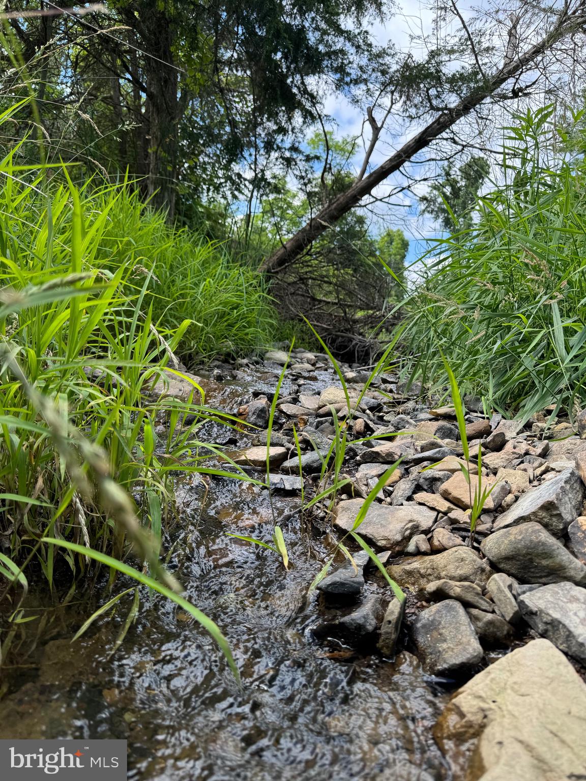 SCHELL ACRES - Residential