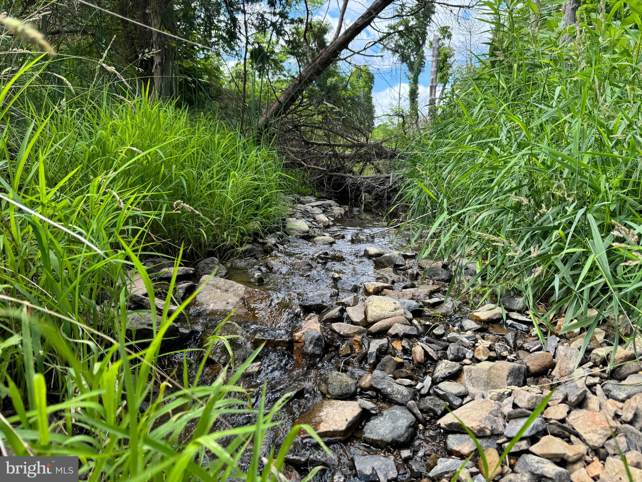 SCHELL ACRES - Residential