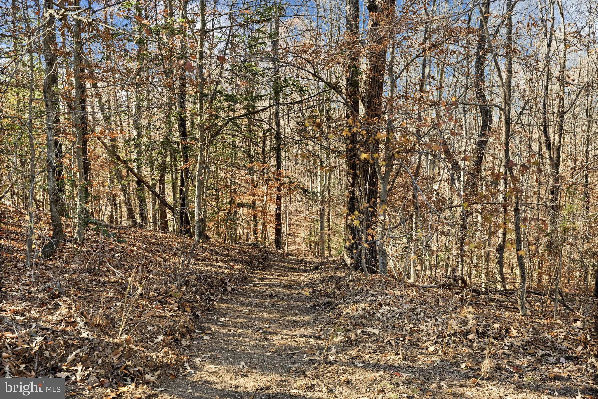 King George, Virginia 22485, United States, 5 Bedrooms Bedrooms, ,4 BathroomsBathrooms,Residential,Coming Soon,249070