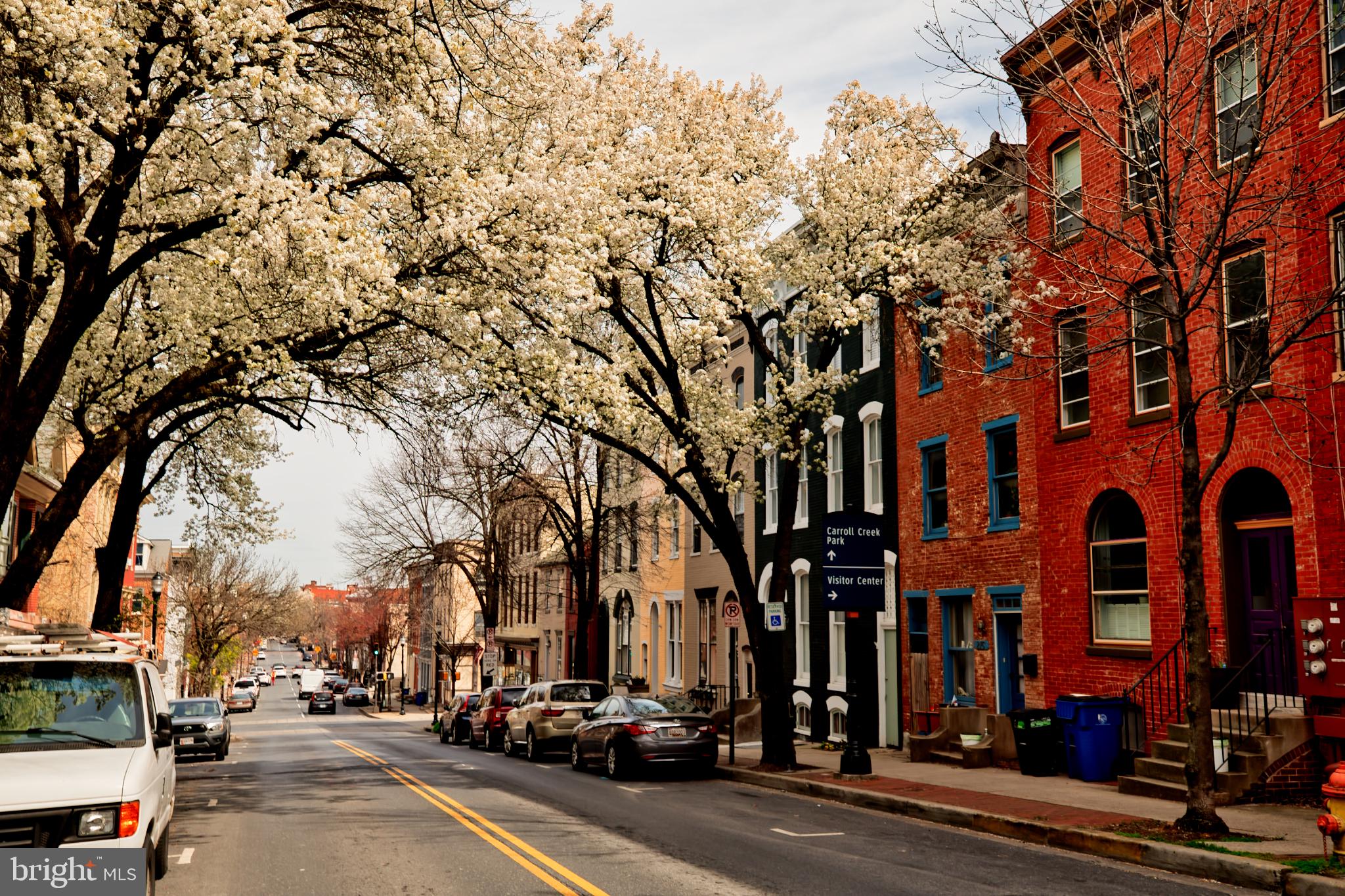 DOWNTOWN FREDERICK - Residential