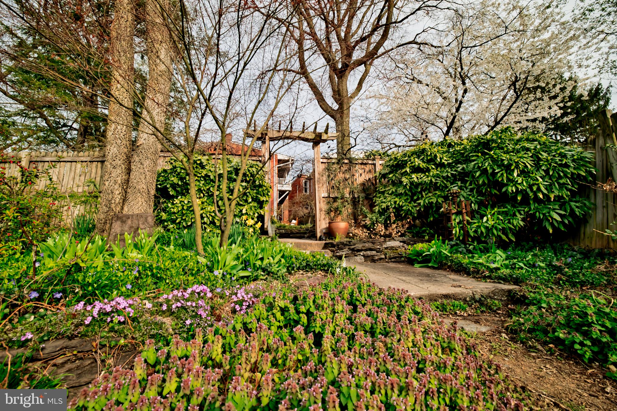 DOWNTOWN FREDERICK - Residential