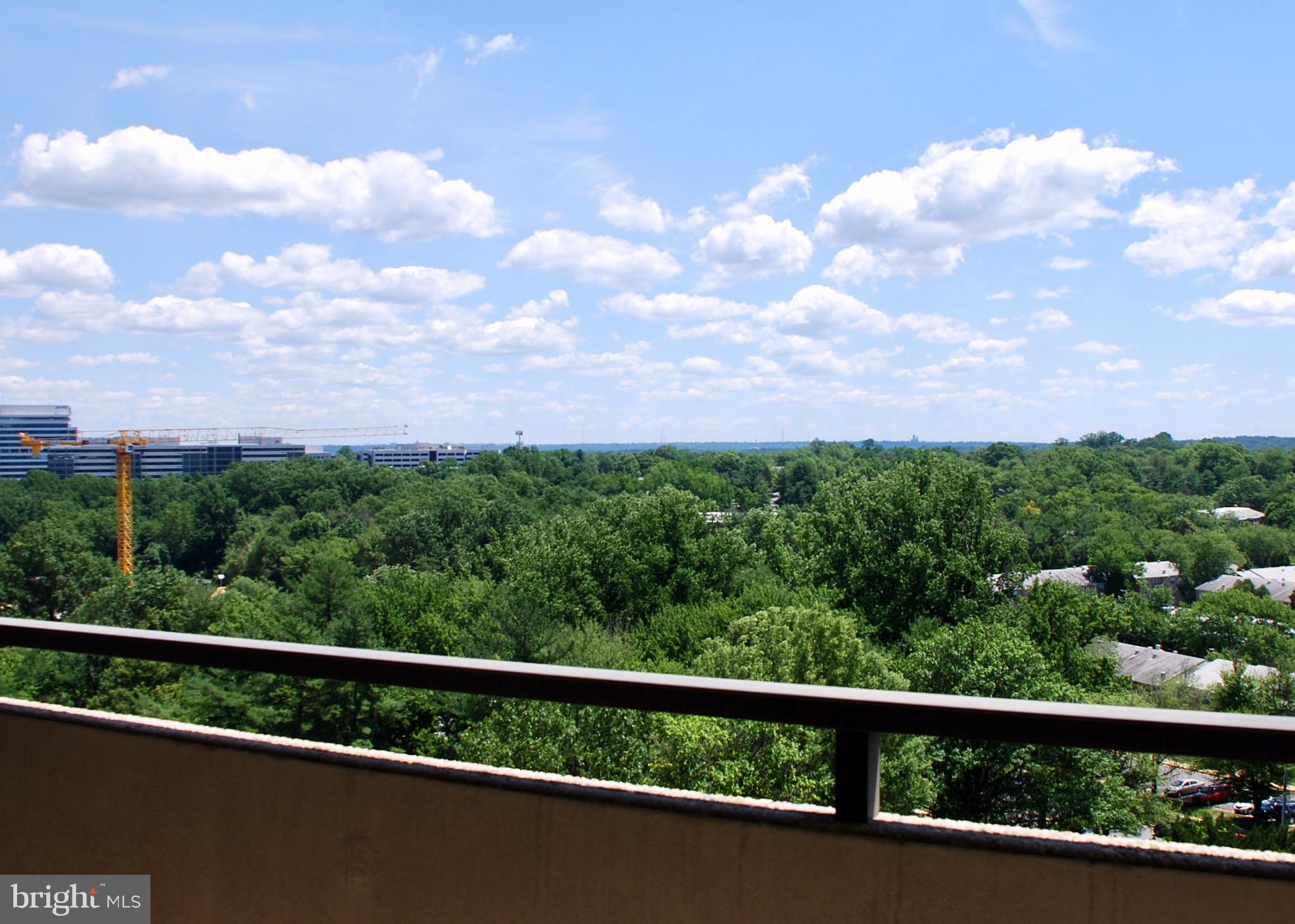 REGENCY AT MCLEAN - Residential Lease