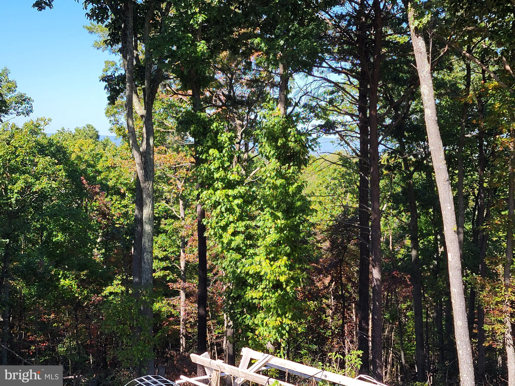 HERTZ DIVISION - Residential