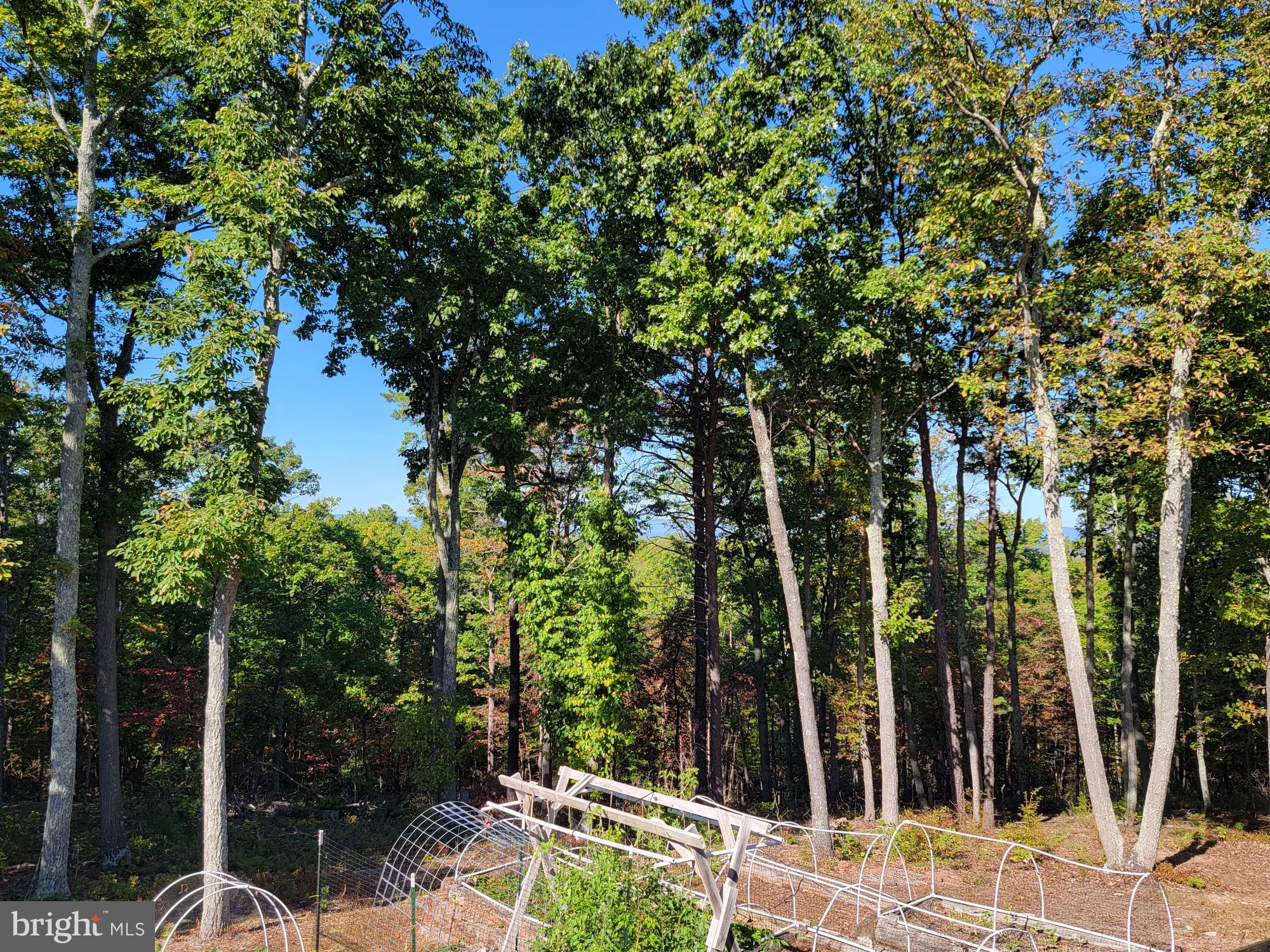 HERTZ DIVISION - Residential