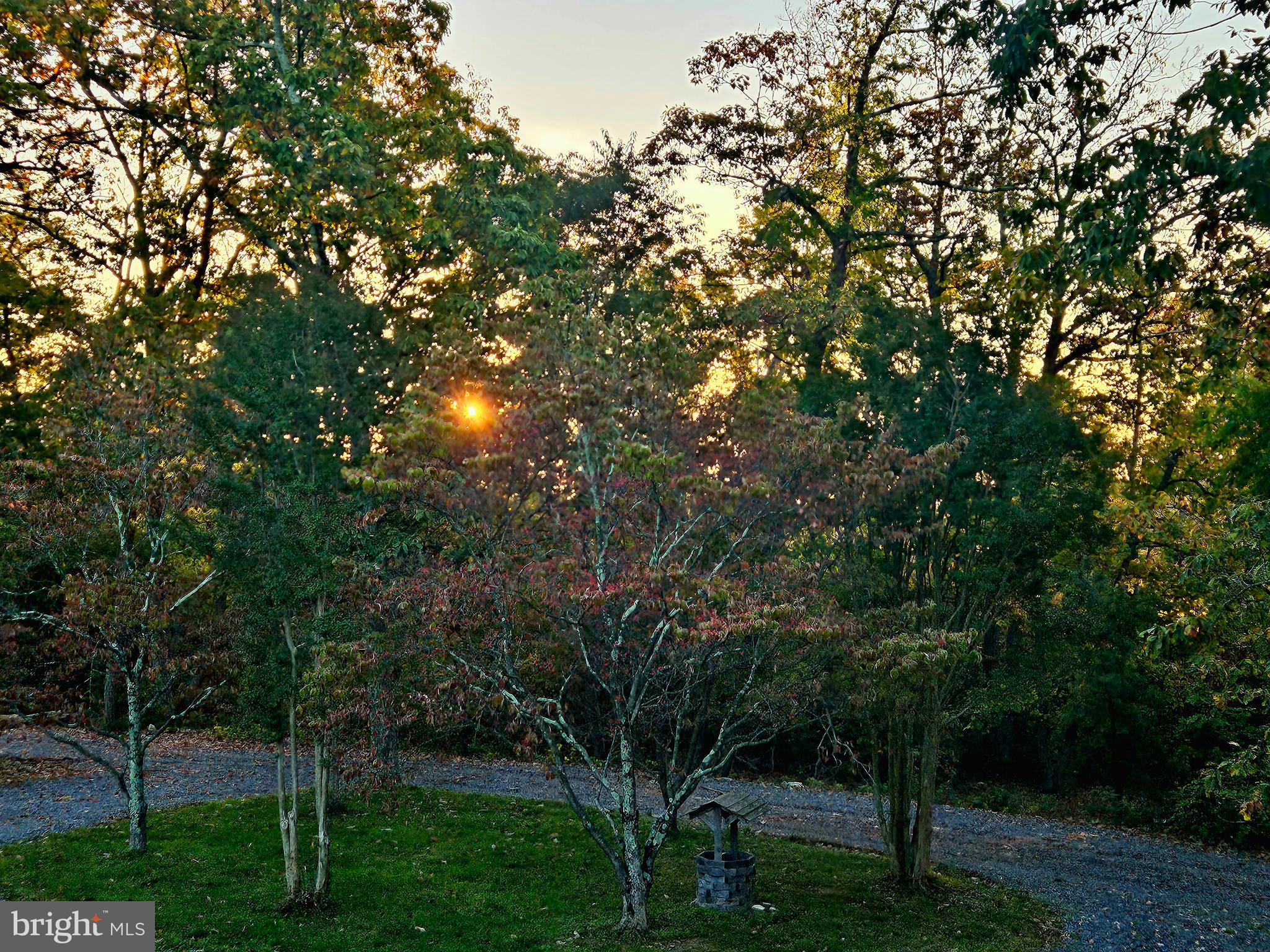 HERTZ DIVISION - Residential