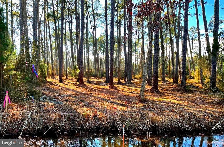 This beautiful 1.2-acre lot offers peace, privacy, and endless possibilities. Zoned MRC (Maritime, Residential, Commercial), the property provides exceptional flexibility—build your dream home, start a business, keep your RV or boat on-site, or create a weekend retreat or hunting cabin. The area is rich with wildlife, including deer, turkeys, ducks, and geese, making it a nature lover’s paradise.

The property has public water and sewer connections available, eliminating the need for a well or septic system. Situated along the edge of the 4,000-acre Fairmount Wildlife Park, you can enjoy the tranquility of nature right outside your door—wake up to birdsong, gentle breezes, and the serenity of the surrounding landscape.

Nearby amenities make this location even more appealing. With a public boat ramp just down the road, spend your days boating on the Manokin River, fishing and crabbing the Tangier Sound, or relaxing at the Pit & Pub Tiki Bar. There is a marina at the bar to rent a slip for your boat and if you prefer to keep your boat on a trailer there is a free launch ramp right next to the bar.  Enjoy breathtaking sunsets from your kayak and spot bald eagles, herons, egrets, and other abundant wildlife. This location truly offers the perfect blend of peaceful seclusion and outdoor adventure.