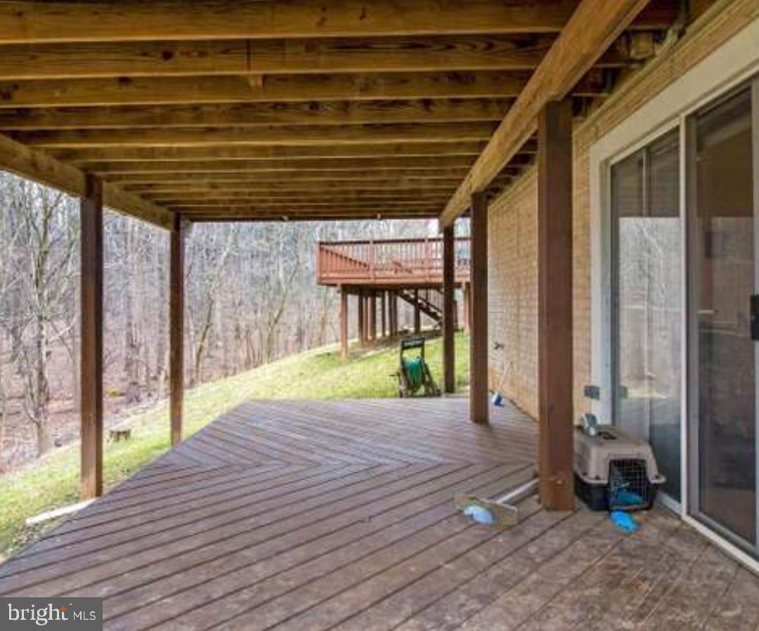 SPRINGDALE - Residential Lease