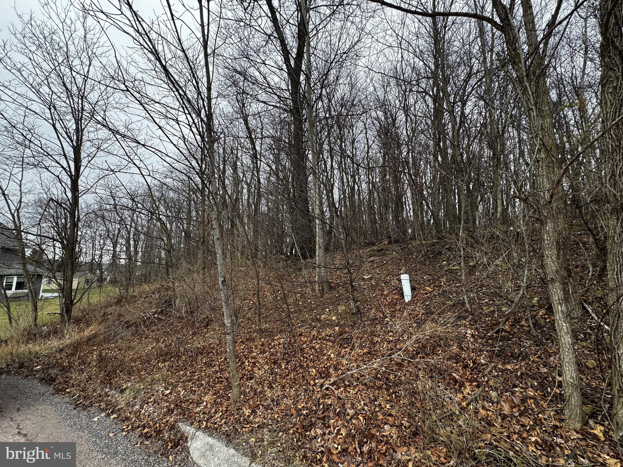 119 BRADDOCK HEIGHTS