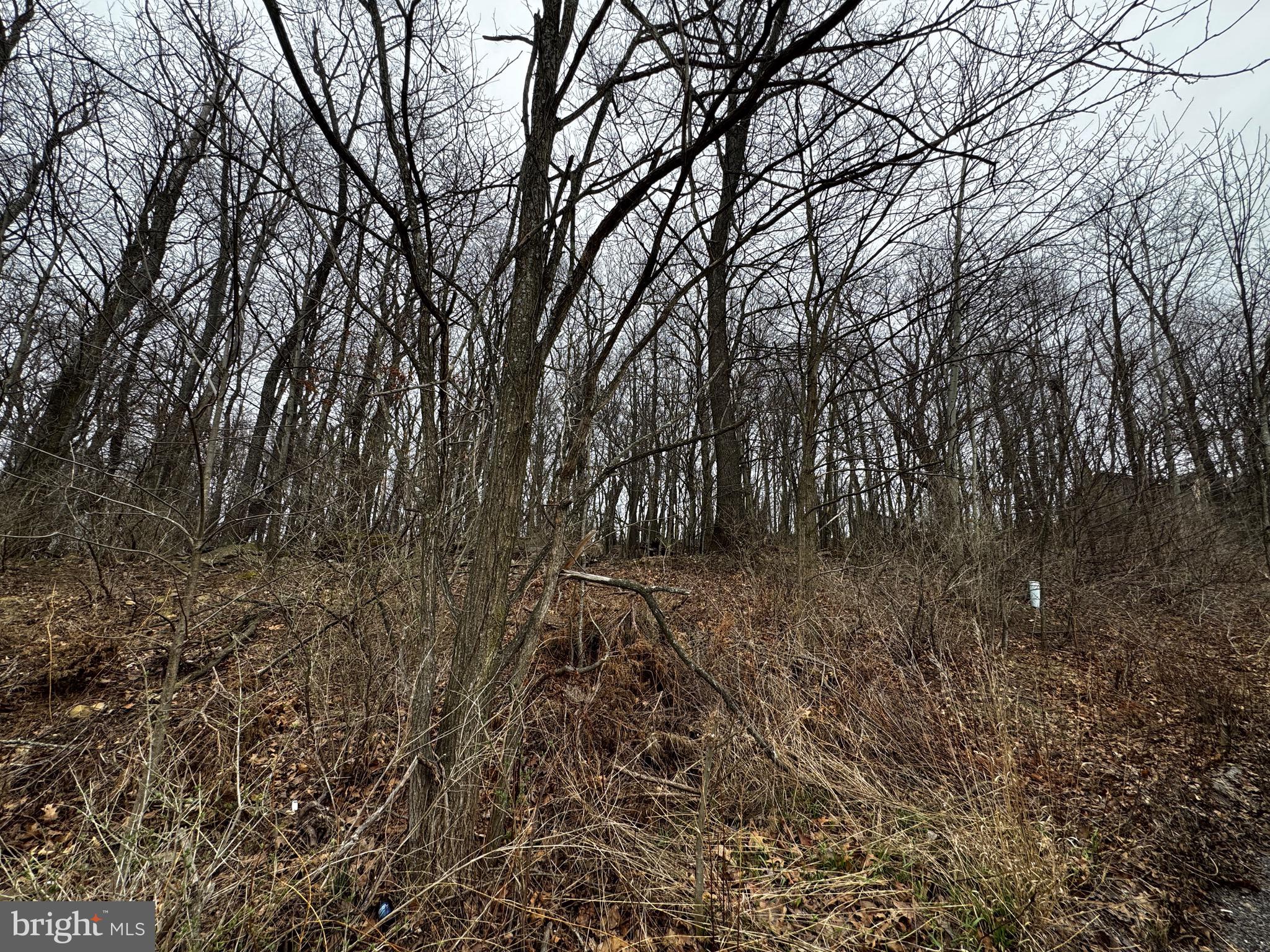 119 BRADDOCK HEIGHTS