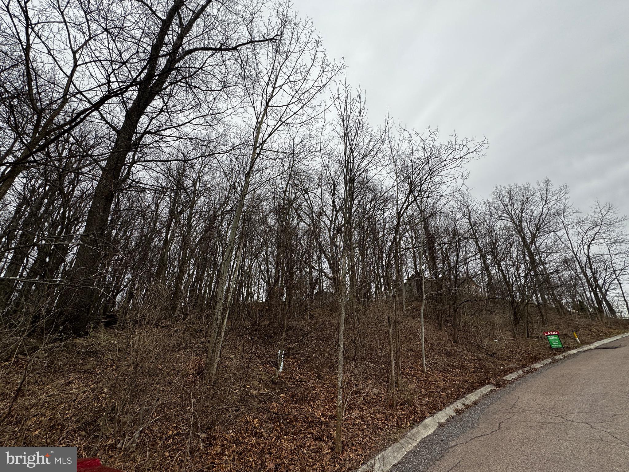 119 BRADDOCK HEIGHTS